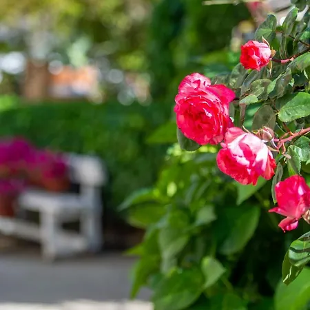 Hederarooms Nocleg ze śniadaniem